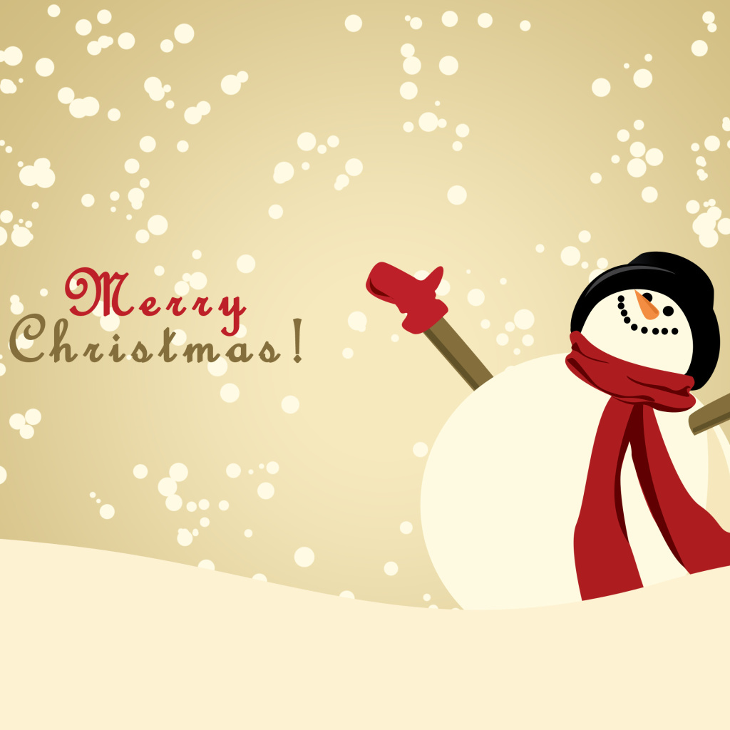 Merry Christmas Wishes from Snowman wallpaper 1024x1024