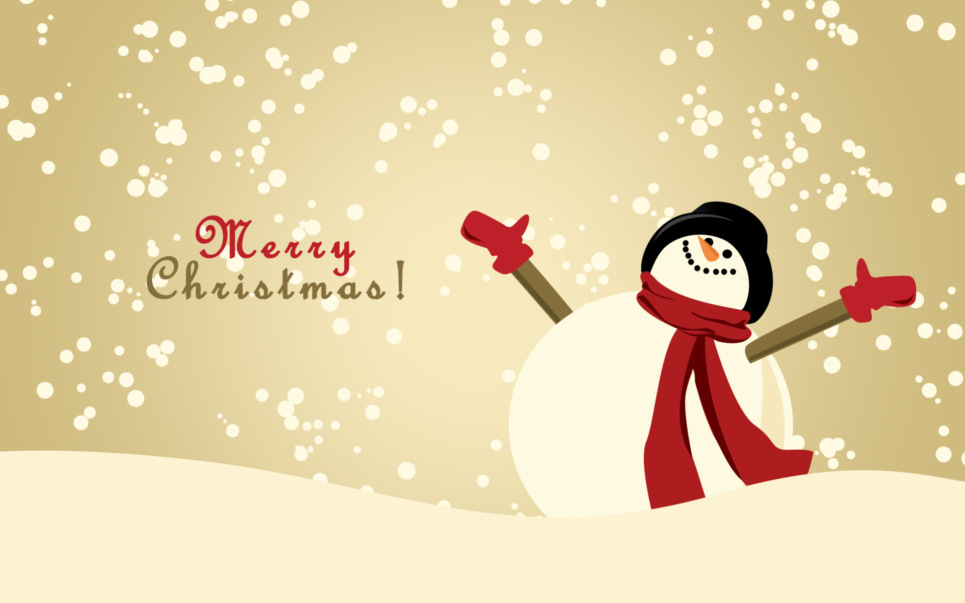 Merry Christmas Wishes from Snowman wallpaper 1920x1200