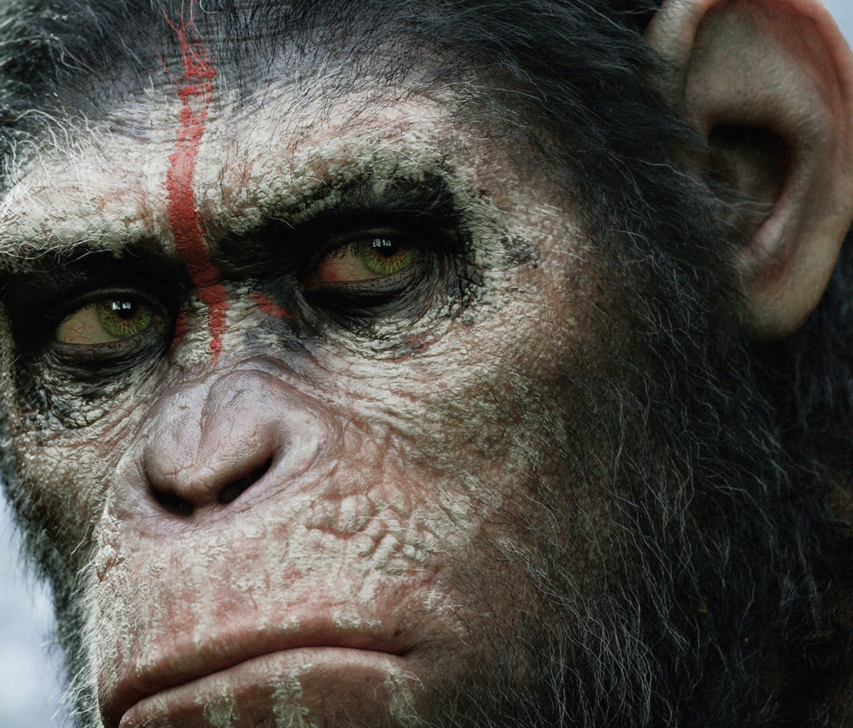 Das Dawn Of The Planet Of The Apes 2014 Wallpaper 1200x1024