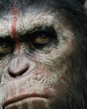 Screenshot №1 pro téma Dawn Of The Planet Of The Apes 2014 128x160