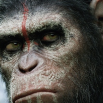 Screenshot №1 pro téma Dawn Of The Planet Of The Apes 2014 208x208