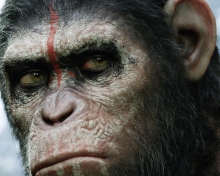Fondo de pantalla Dawn Of The Planet Of The Apes 2014 220x176