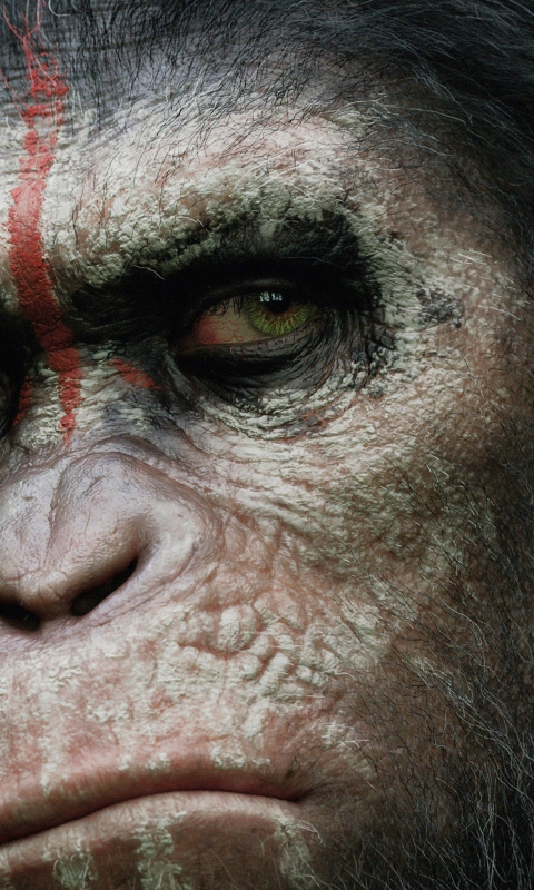 Обои Dawn Of The Planet Of The Apes 2014 480x800