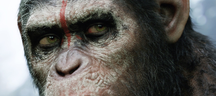 Fondo de pantalla Dawn Of The Planet Of The Apes 2014 720x320