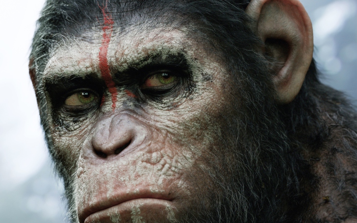 Dawn Of The Planet Of The Apes 2014 screenshot #1