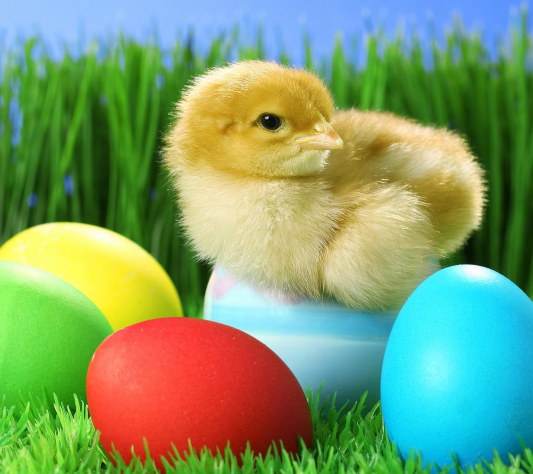 Fondo de pantalla Yellow Chick And Easter Eggs 1080x960