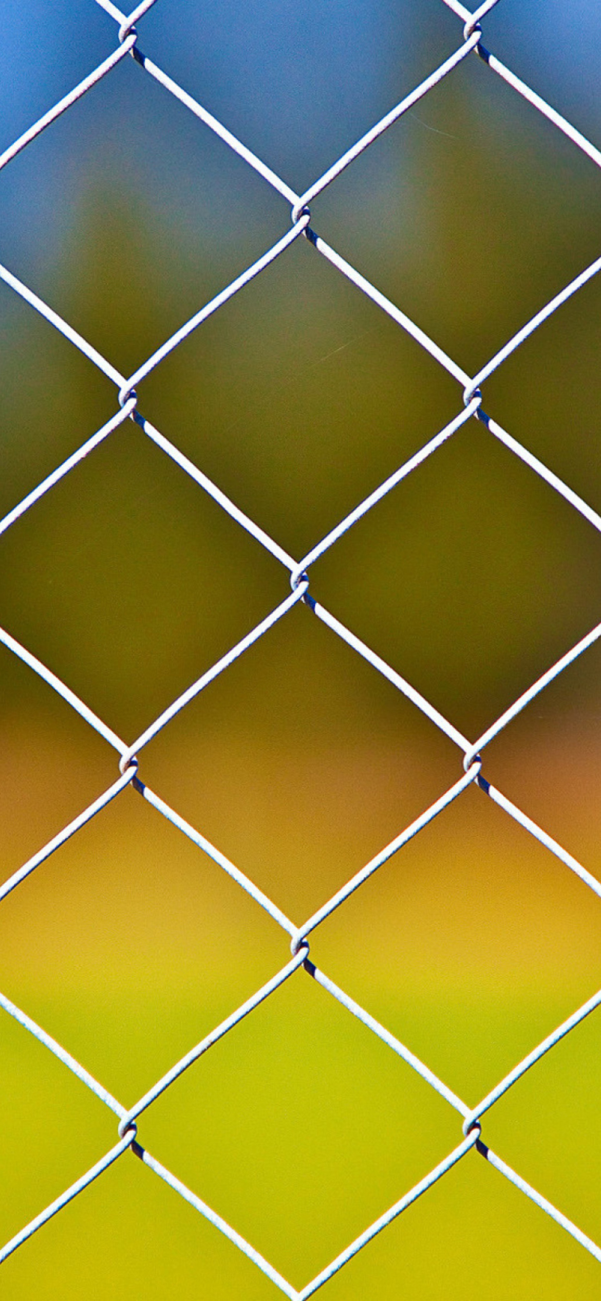 Das Cage Fence Wallpaper 1170x2532