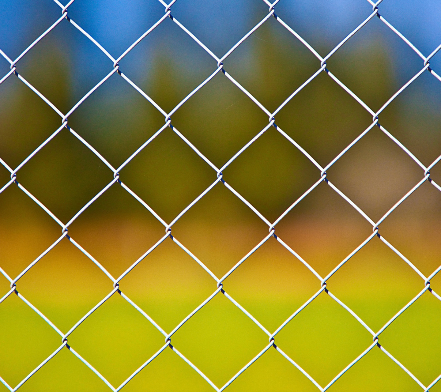 Cage Fence wallpaper 1440x1280