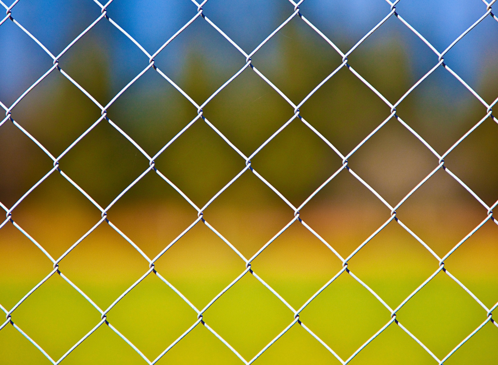 Fondo de pantalla Cage Fence 1920x1408
