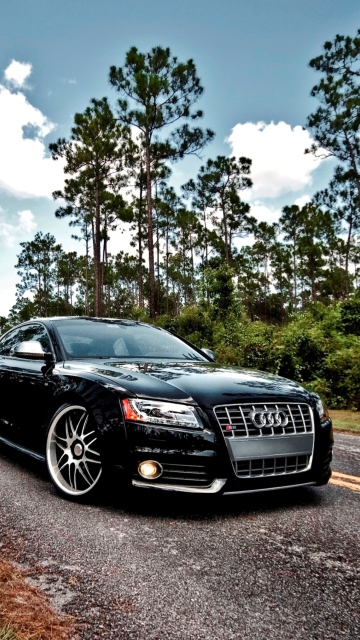 Das Audi S5 Wallpaper 360x640