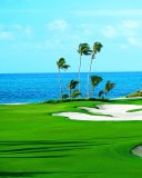 Screenshot №1 pro téma Golf Course on Ponte Vedra Beach 128x160
