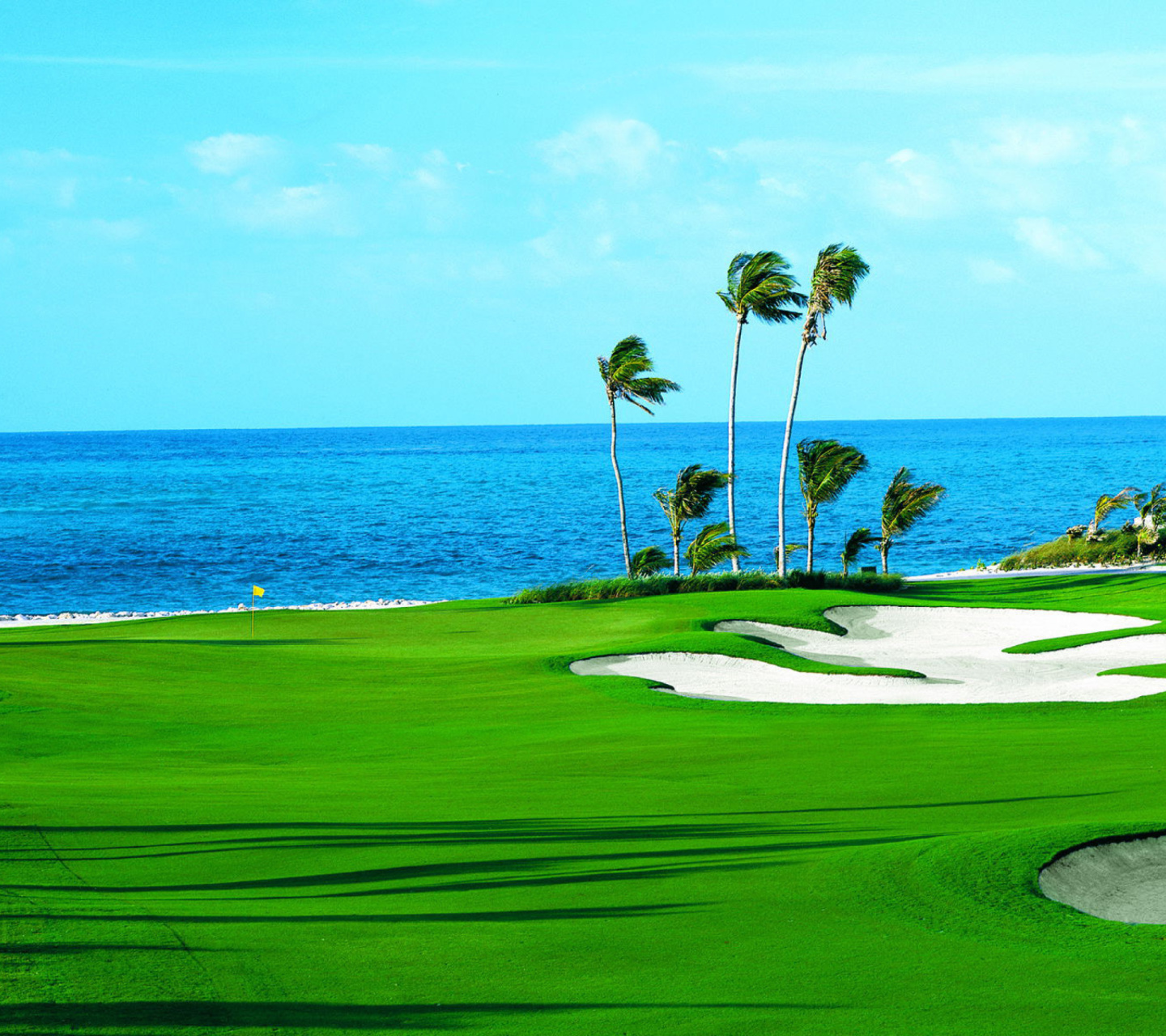 Das Golf Course on Ponte Vedra Beach Wallpaper 1440x1280