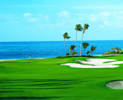 Das Golf Course on Ponte Vedra Beach Wallpaper 176x144