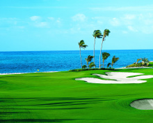 Golf Course on Ponte Vedra Beach wallpaper 220x176