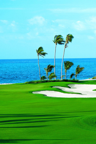 Golf Course on Ponte Vedra Beach wallpaper 320x480