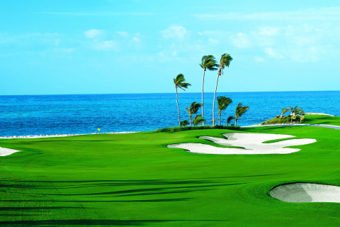 Обои Golf Course on Ponte Vedra Beach 480x320