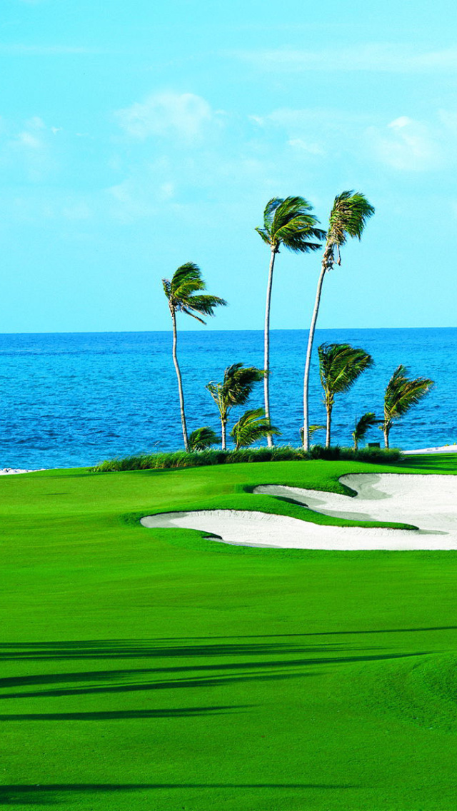 Golf Course on Ponte Vedra Beach wallpaper 640x1136