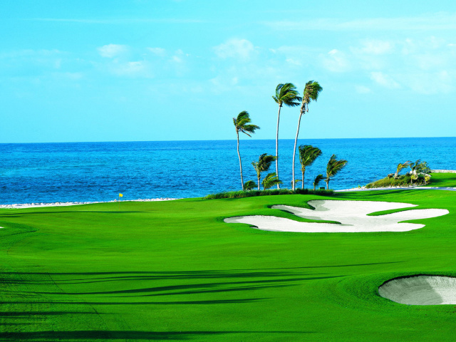 Das Golf Course on Ponte Vedra Beach Wallpaper 640x480