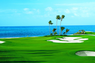 Free Golf Course on Ponte Vedra Beach Picture for Android, iPhone and iPad