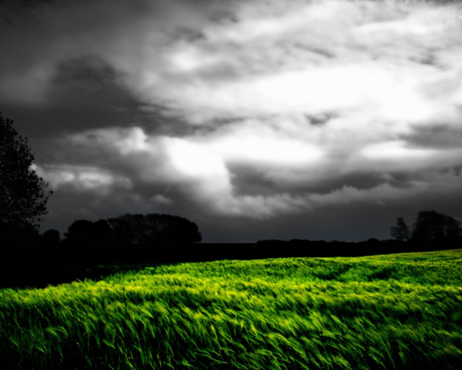Barley Field screenshot #1 1600x1280