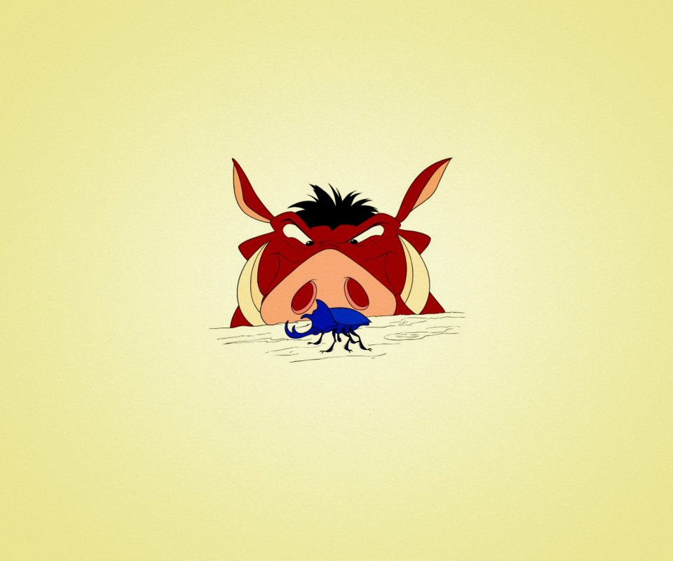 Timon And Pumba - Lion King wallpaper 960x800