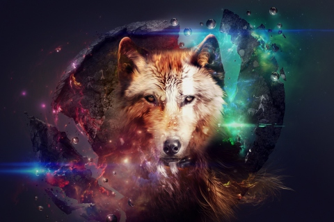Magic Wolf wallpaper 480x320