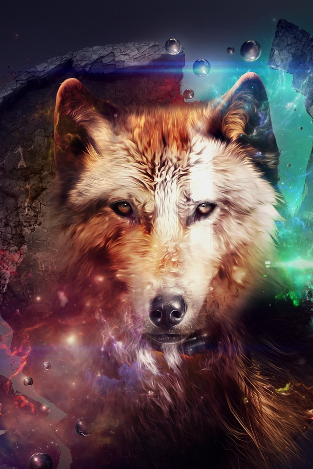 Fondo de pantalla Magic Wolf 640x960