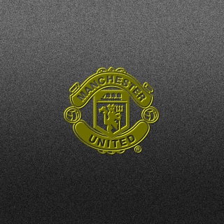 Manchester United - Obrázkek zdarma pro Samsung Breeze B209