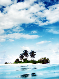 Screenshot №1 pro téma Dreamy Island 240x320