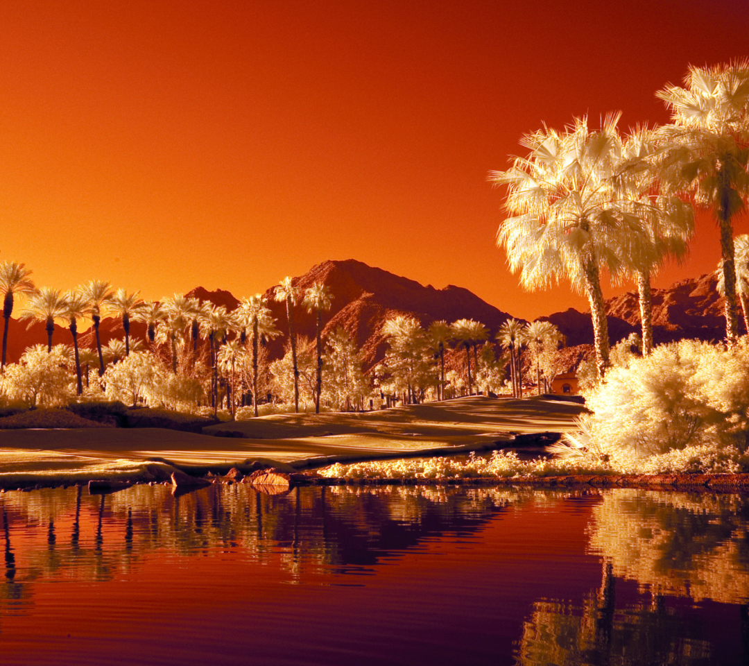 Das Orange Landscape Wallpaper 1080x960
