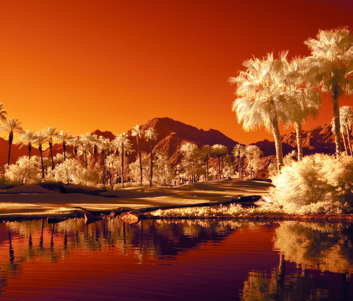 Orange Landscape screenshot #1 1200x1024