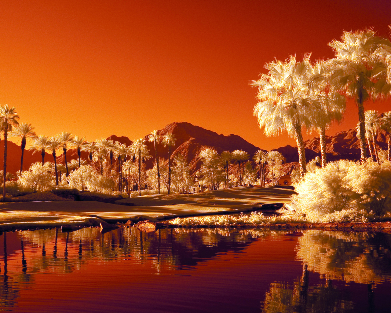 Orange Landscape screenshot #1 1280x1024
