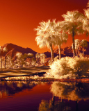 Sfondi Orange Landscape 128x160