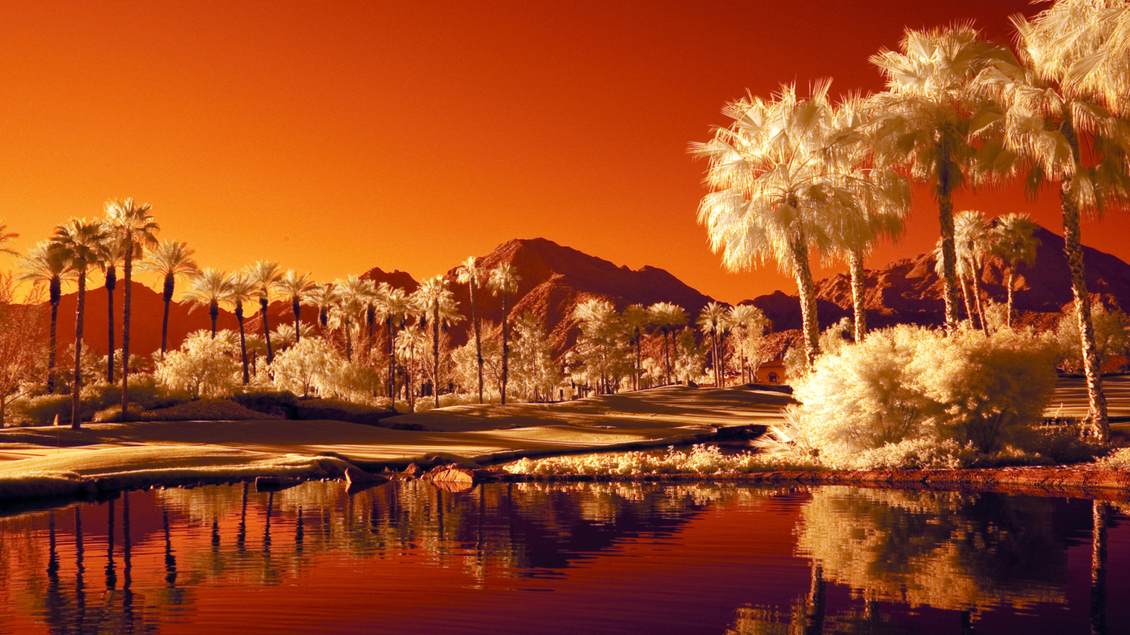 Fondo de pantalla Orange Landscape 1600x900