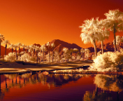 Orange Landscape screenshot #1 176x144