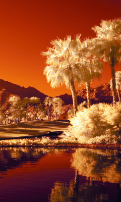 Orange Landscape screenshot #1 240x400