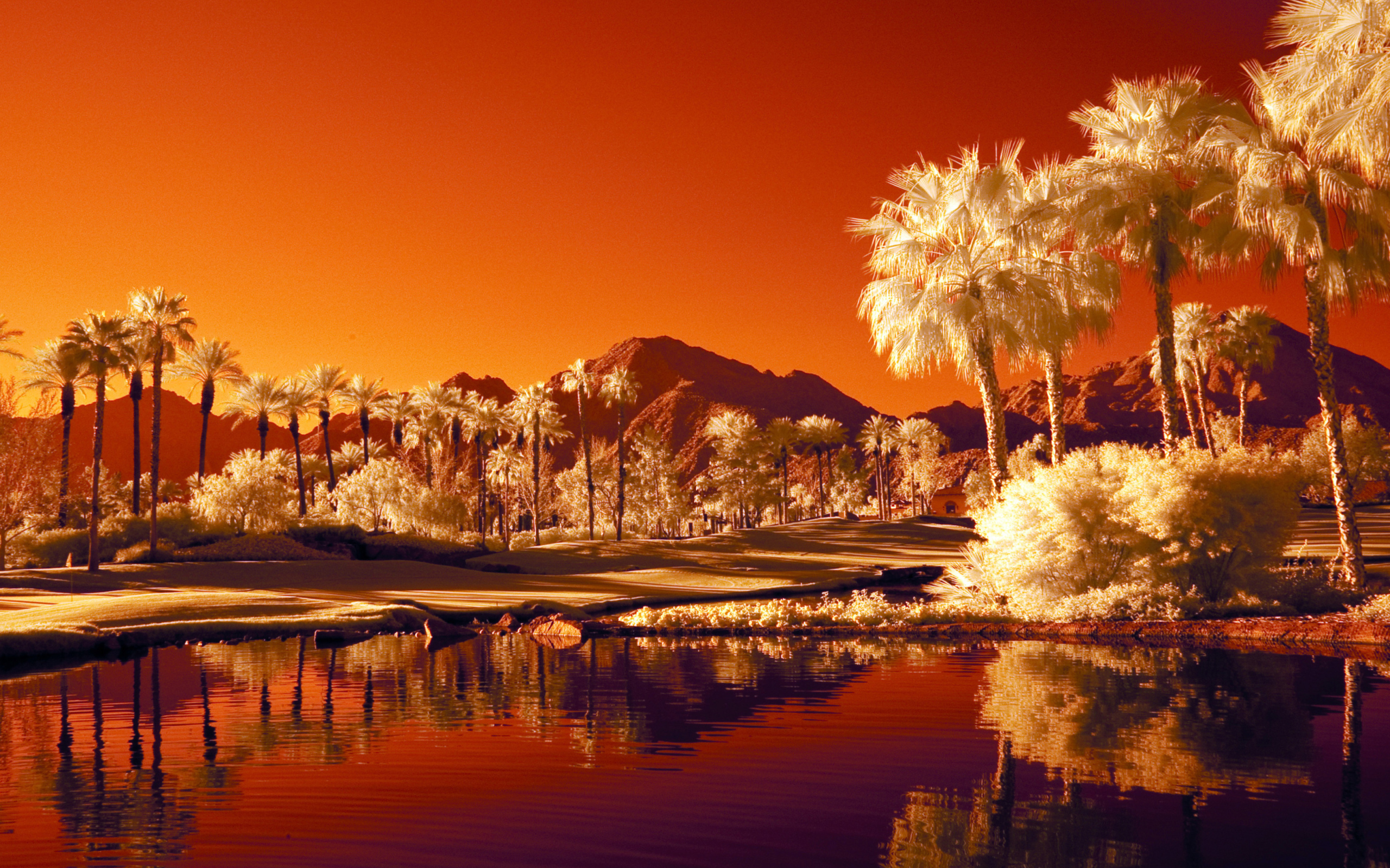Fondo de pantalla Orange Landscape 2560x1600