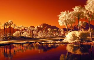 Orange Landscape Picture for Android, iPhone and iPad