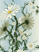 Das Daisy Pattern Wallpaper 132x176