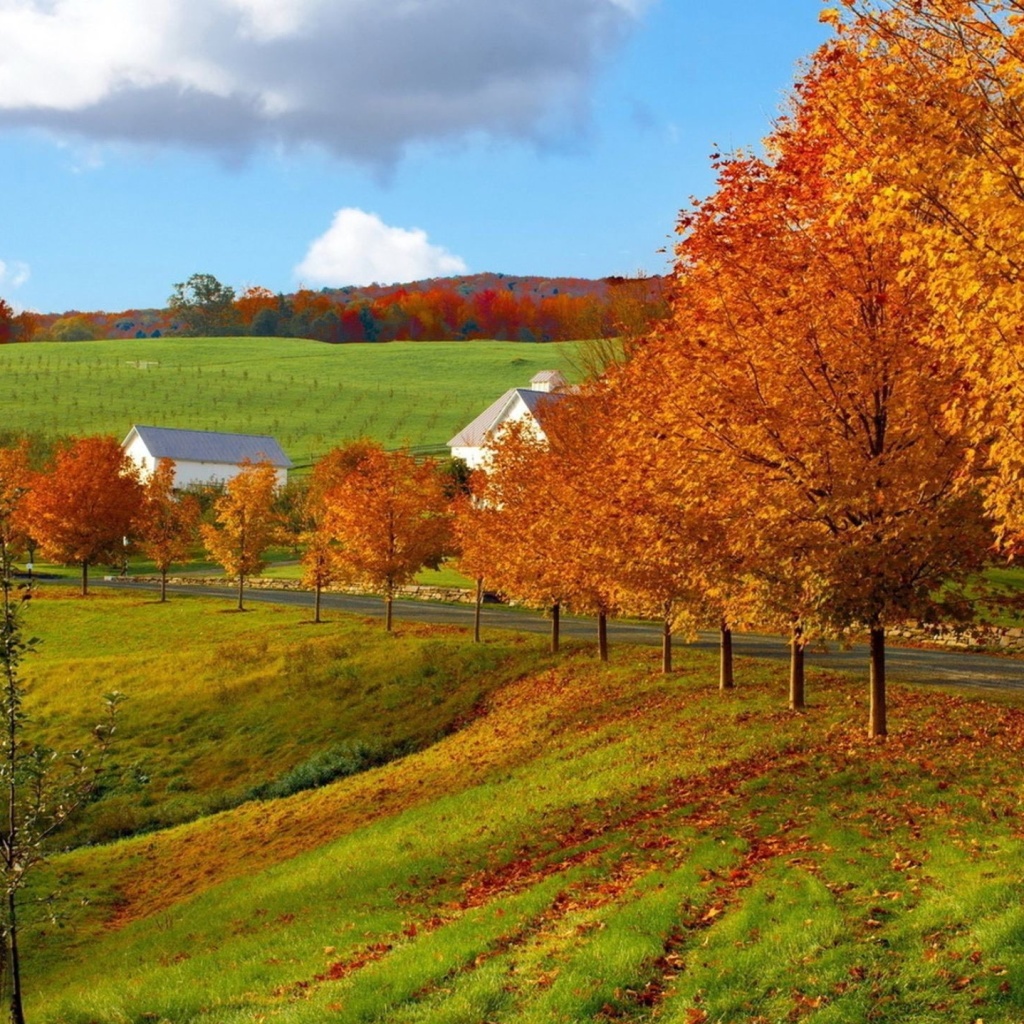 Sfondi Autumn in Slovakia 1024x1024