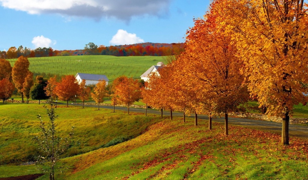Sfondi Autumn in Slovakia 1024x600