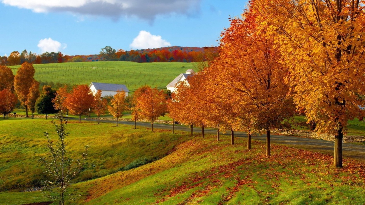 Fondo de pantalla Autumn in Slovakia 1280x720