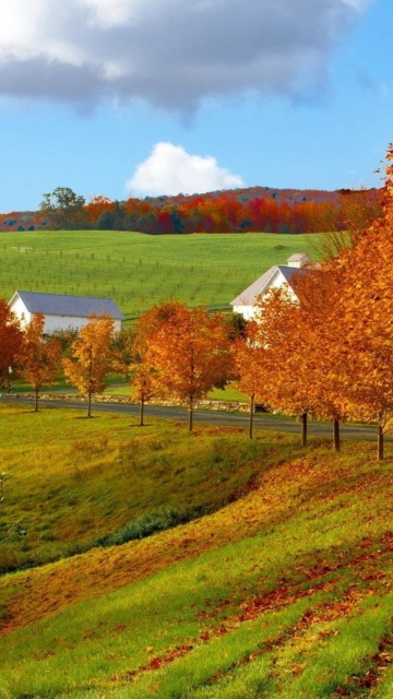 Обои Autumn in Slovakia 360x640