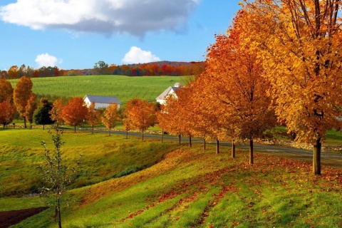 Das Autumn in Slovakia Wallpaper 480x320