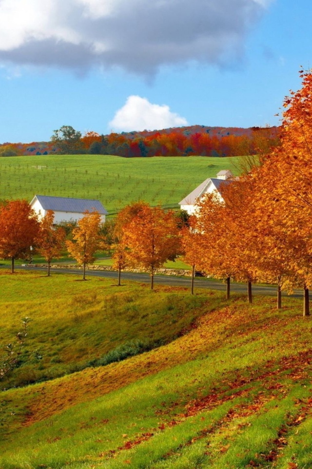 Sfondi Autumn in Slovakia 640x960