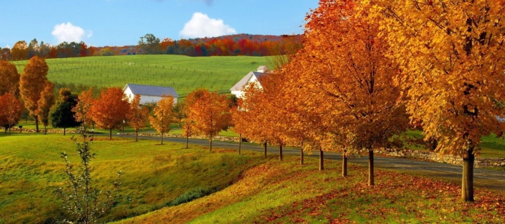 Autumn in Slovakia screenshot #1 720x320