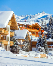 Sfondi Austria Ski Holidays 176x220