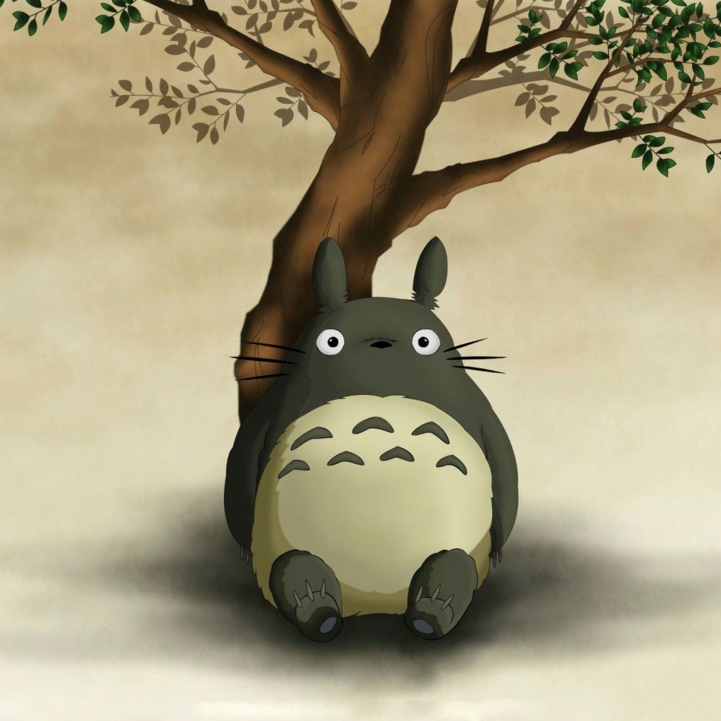 Das My Neighbor Totoro Anime Film Wallpaper 1024x1024