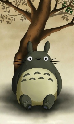 Das My Neighbor Totoro Anime Film Wallpaper 240x400