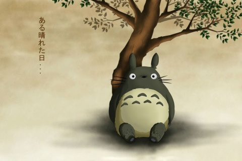 Das My Neighbor Totoro Anime Film Wallpaper 480x320